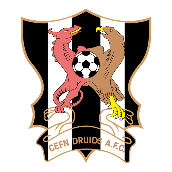 AFC Newi Cefn Druids logo
