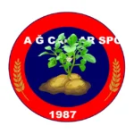 Ağcaşar Spor Logo