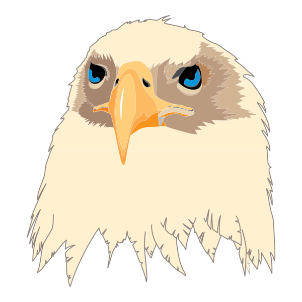 Aguia Eagle logo