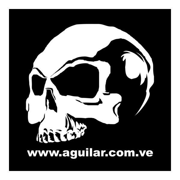 AGUILAR V3 logo