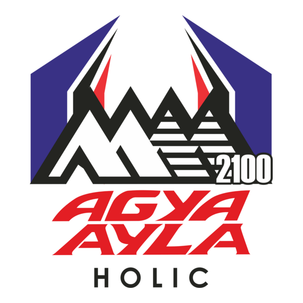 Agya Ayla Holic MM2100