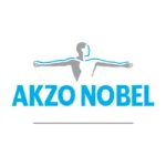 Akzo Nobel Old Logo
