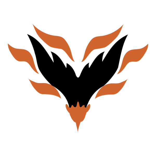 Albany Firebirds logo
