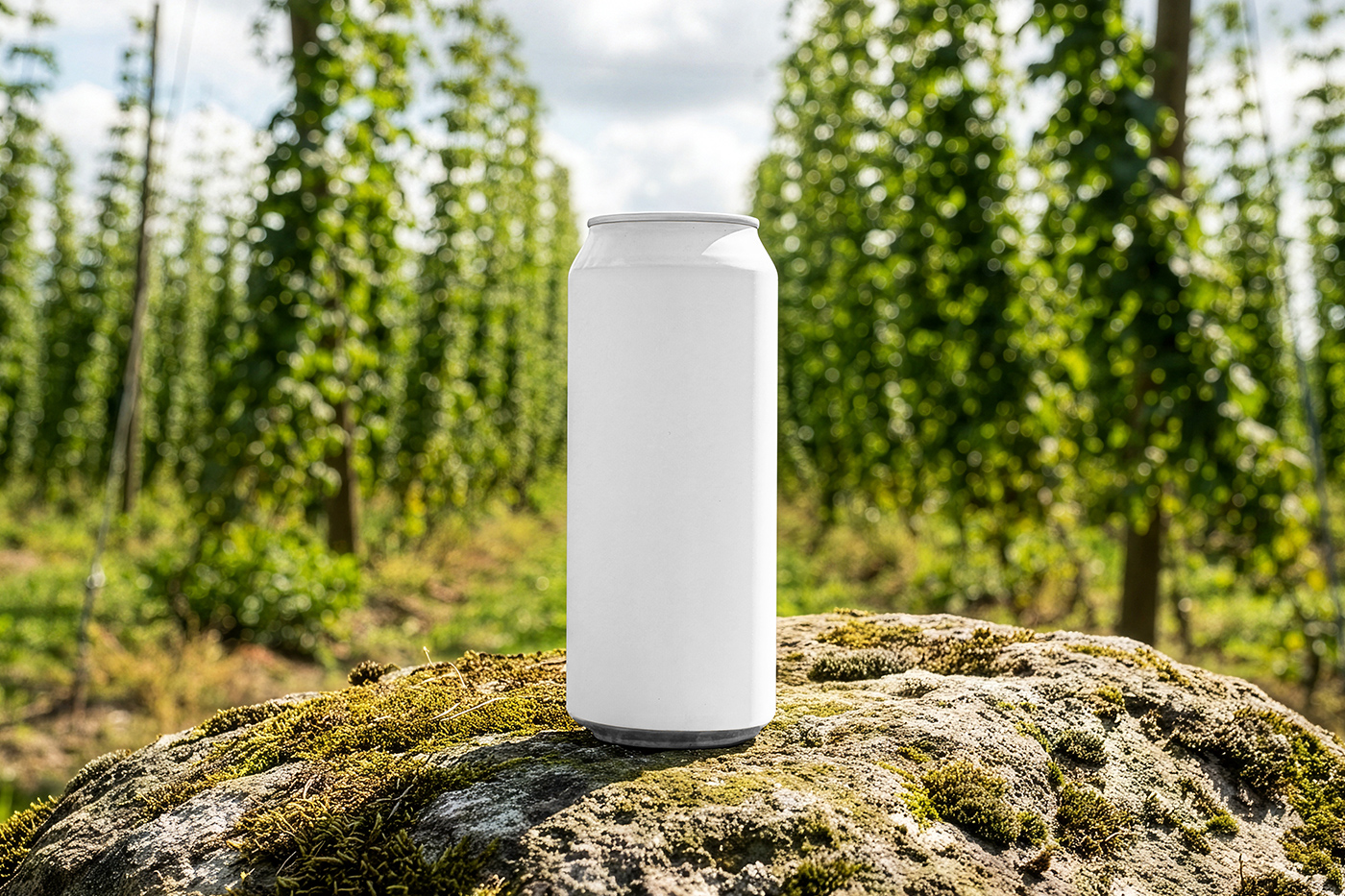 Free Aluminum Can on Rock Mockup PSD Template