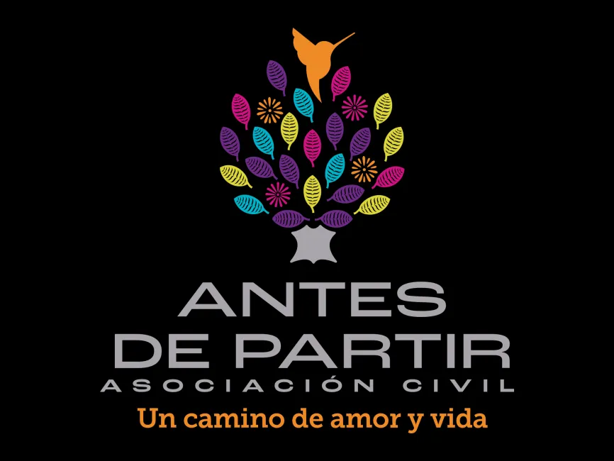 Antes de Partir Logo