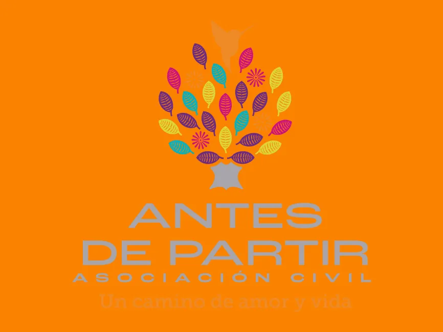 Antes de Partir Logo