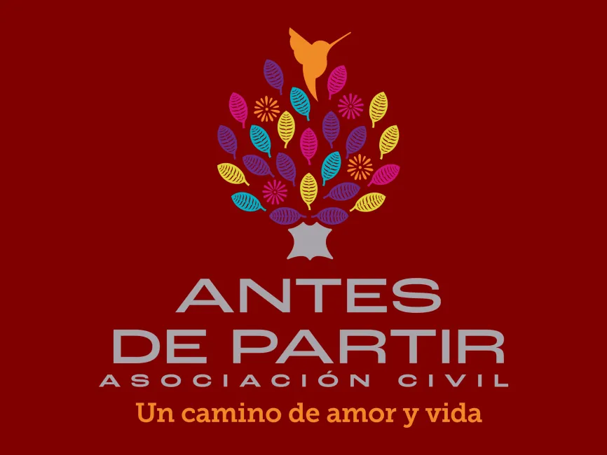 Antes de Partir Logo
