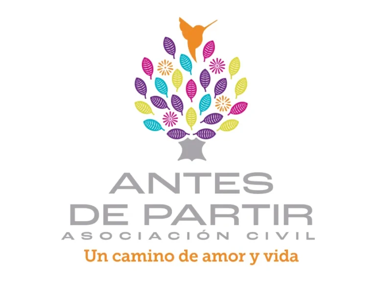 Antes de Partir Logo