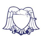 APA Eagle logo