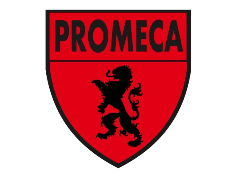 Associaçao Esportiva Promeca Junidai Logo