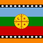 Bandera Mapuche Logo