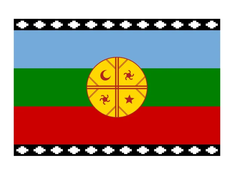 Bandera Mapuche Logo
