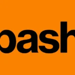 Bash.com Logo