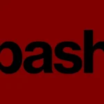 Bash.com Logo