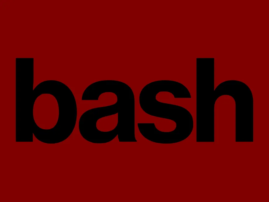 Bash.com Logo