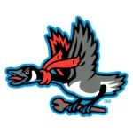 Beloit Sky Carp Logo