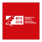 BFA DFB Diputacion Foral de Bizkaia Logo