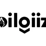 Bilgiiz Logo