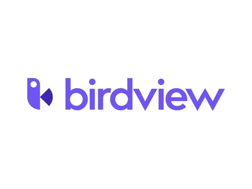 Birdview Logo