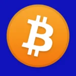 Bitcoin Icon Logo