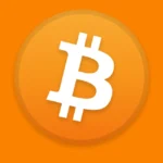 Bitcoin Icon Logo
