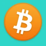 Bitcoin Icon Logo
