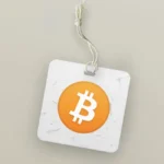Bitcoin Icon Logo