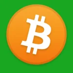 Bitcoin Icon Logo