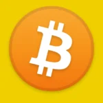 Bitcoin Icon Logo