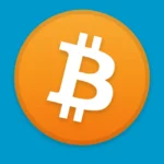Bitcoin Icon Logo