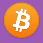 Bitcoin Icon Logo