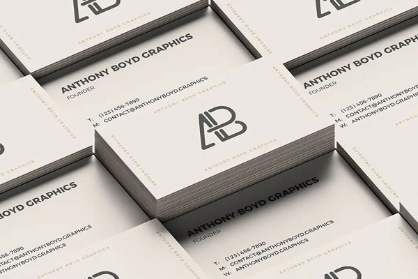 Black and White Grid Business Card Back and Front View Mockup