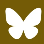 Bluesky Butterfly Icon Logo