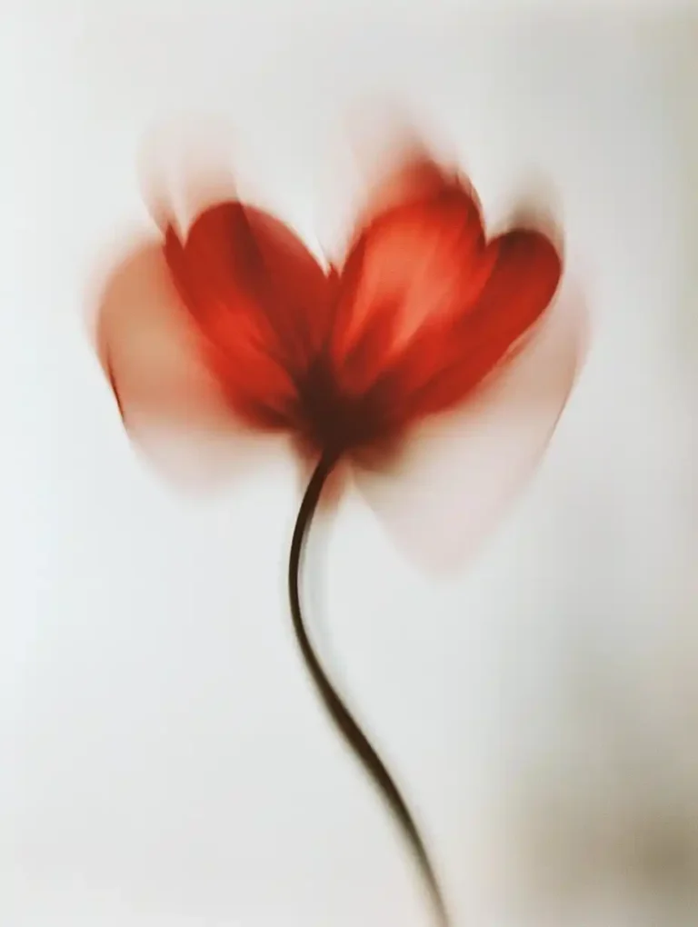 Blurred Red Flower Motion