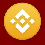 BNB Coin Icon Logo
