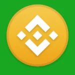 BNB Coin Icon Logo
