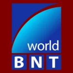 BNT World Logo