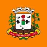 Brasão Caxambu do Sul Logo