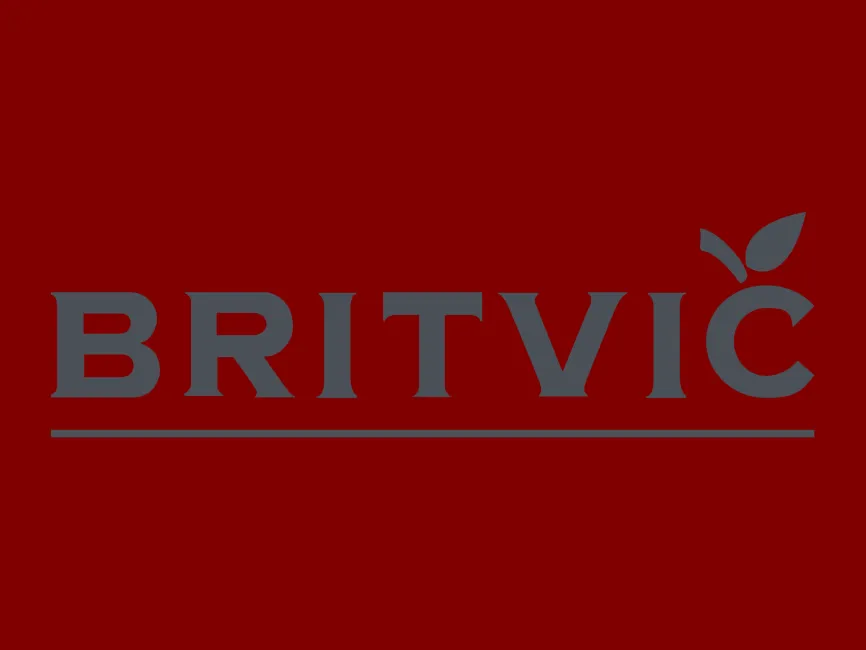 Britvic Grey Logo