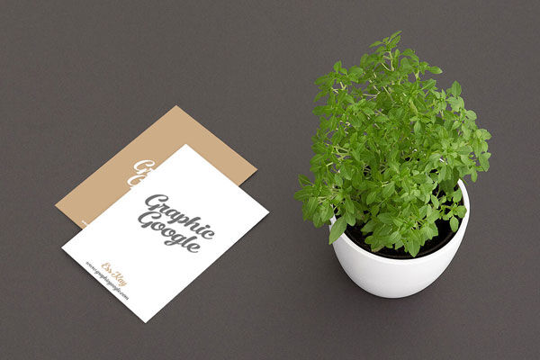 Business Card Laid on the Surface at a 3\4 Angle View Mockup