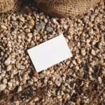 Business Card Laying on Stones Mockup