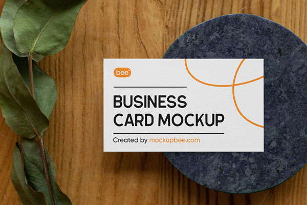 Business Card on Stone Mockup with Plant From Top Angle