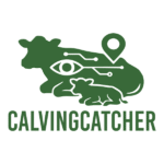 CalvingCatcher ai
