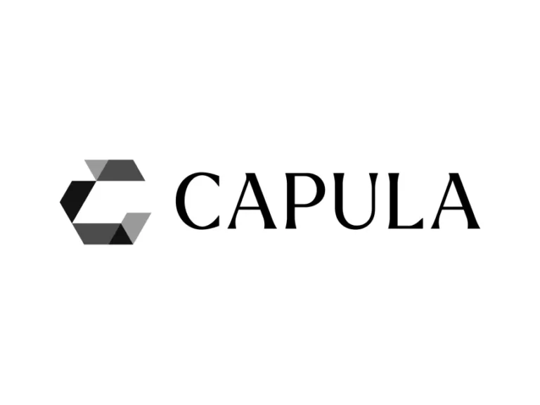 Capula Investment Management New 2024 Logo