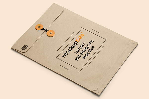 Cardboard Envelope Mockup