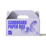 Cardboard Paper Box Mockup in Front View