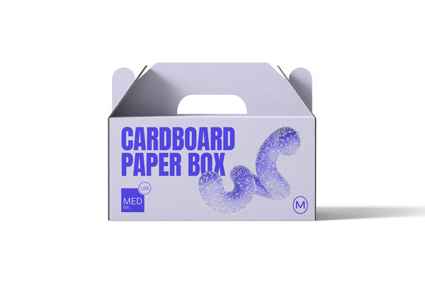 Cardboard Paper Box Mockup in Front View