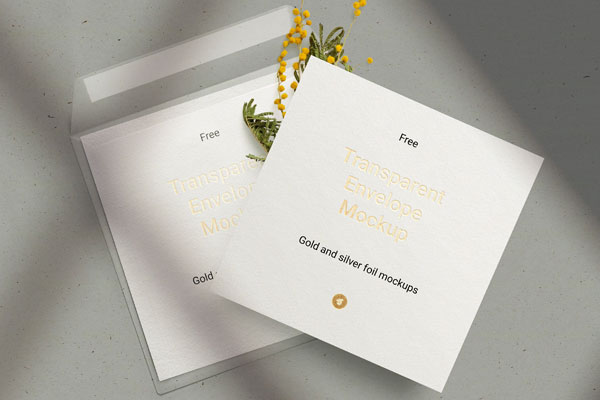 Cards and Transparent Envelop Decorated with Flower and Overlaid Shadow Mockup