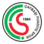 Çaybaşı Fuadiyespor logo