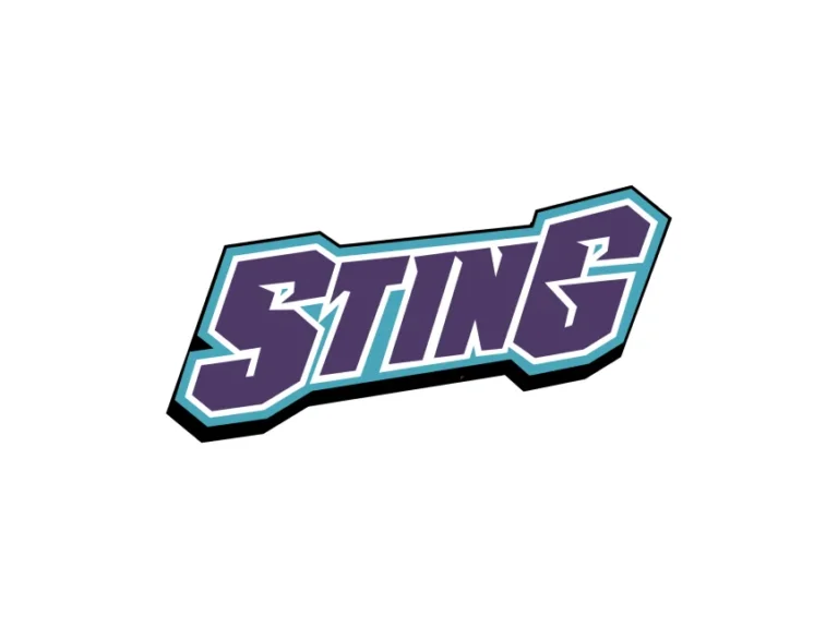 Charlotte Sting Wordmark Logo
